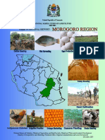 Morogoro Report PDF