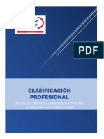 Clasificacion Profesional XV Convenio Discapacidad