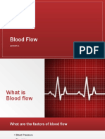 Blood Flow 3rd Year
