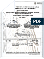 PTRI-GTO-DSSSTPA-0105 PREVENCION DE CAIDAS R-1.pdf