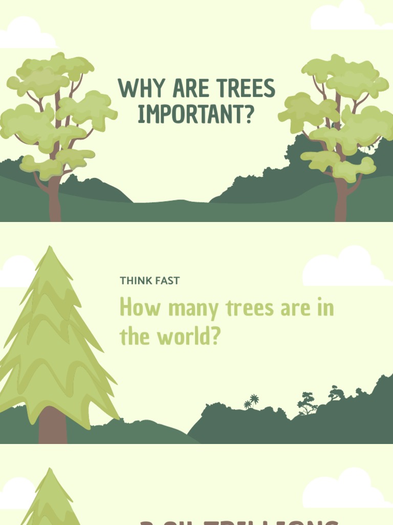 Why Are Trees Important PDF
