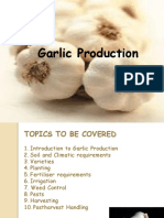 Leek, Shallots and Spring Onions eBook by Agrihortico - EPUB Book