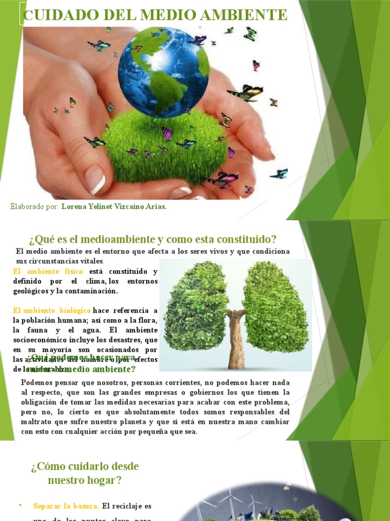 Cuidado Del Medio Ambiente | Descargar gratis PDF | Entorno natural ...