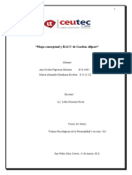 Mapa Conceptual y RACC de Gordon Allport