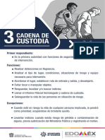 Cadena de Custodia PDF