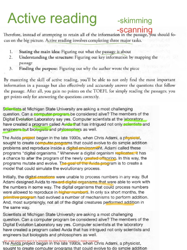 Active Reading | PDF
