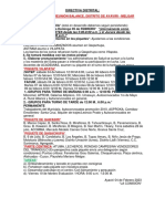 Directiva Distrital1 PDF
