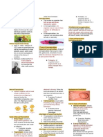 Animal Reproduction of Representative Animals Reviewer