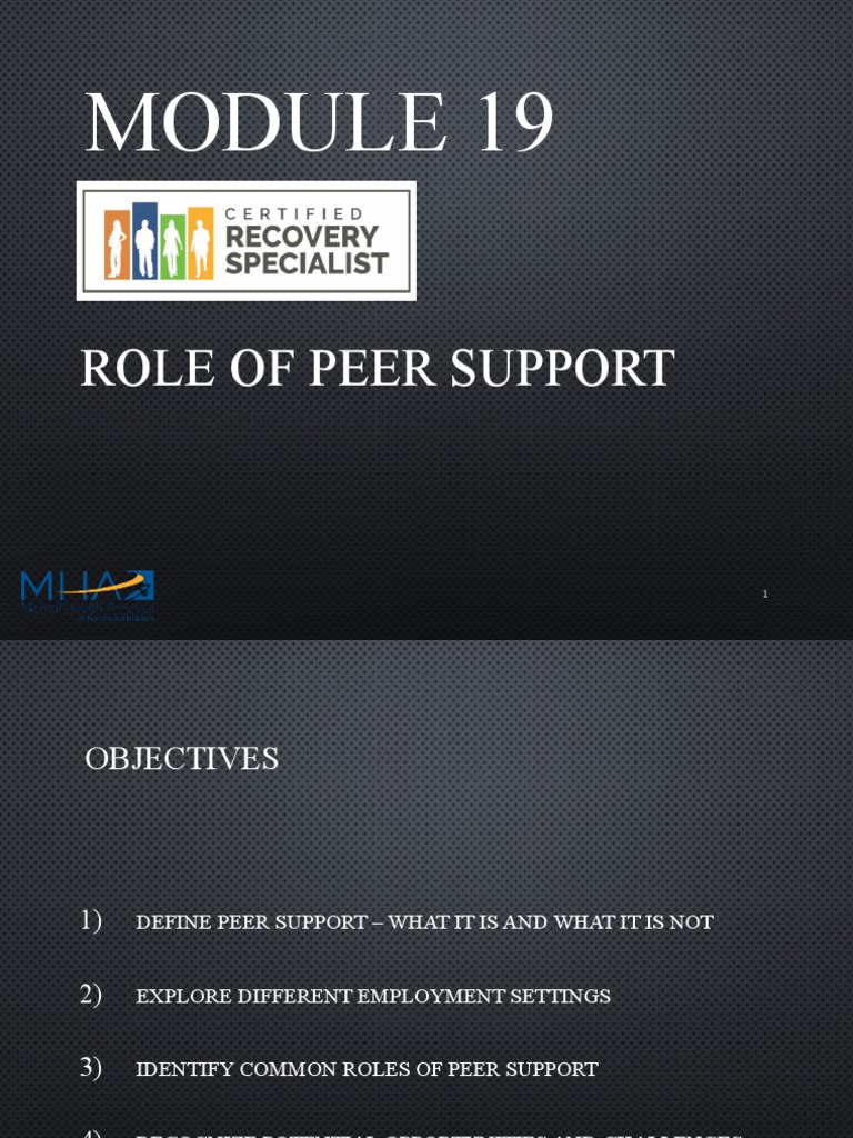 Understanding Peer Support Roles | PDF | Mental Disorder | World Wide Web