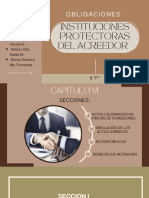 Instituciones Protectoras Del Acreedor