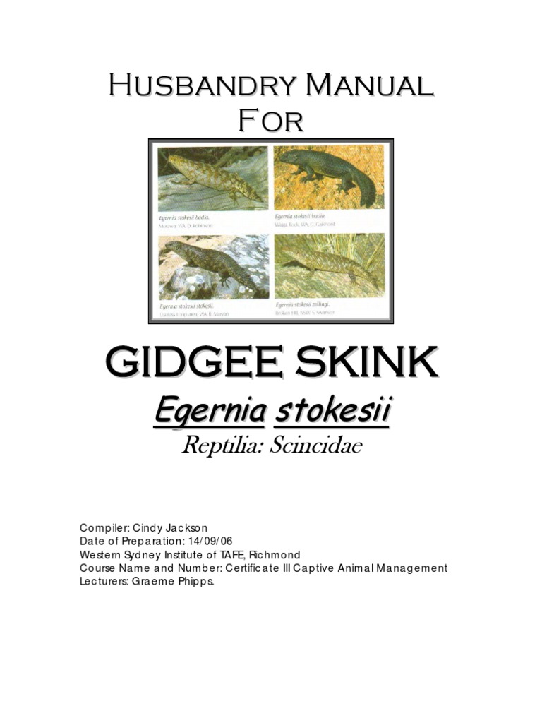 Gidgee Skink | PDF | Leaf Vegetable | Hygiene