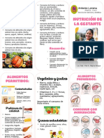 Nutrición de La Gestante PDF