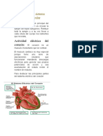 Fisiología Del Sistema Cardiovascular