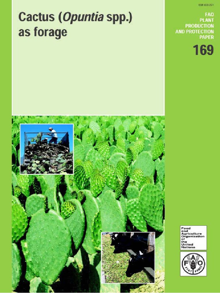 Cactus (Opuntia SPP.) As Forage (FAO Plant Production and Protection