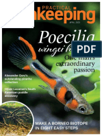 Practical Fishkeeping - April 2023