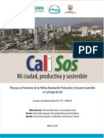 Plan para La Promoción de La Política Nacional de Producción y Consumo Sostenible PDF