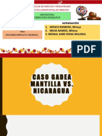 CASO GADEA MANTILLA VS. NICARAGUA