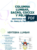 Columna Lumbar, Sacro, Coccix y Pelvis