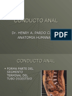 Conducto Anal