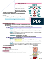 Repaso Prueba RM Y PC PDF