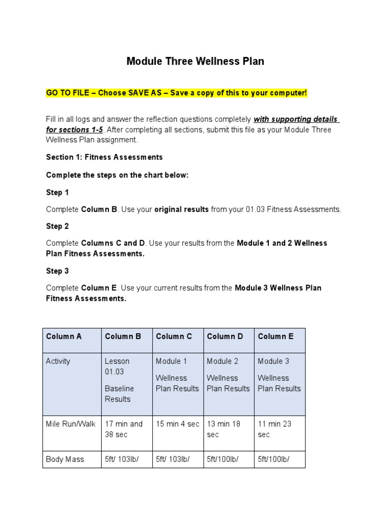 Module 3 Wellness Plan Overview | PDF | Physical Fitness | Physical ...
