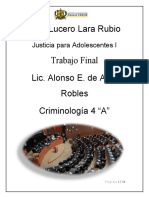 Karina Lucero Lara Rubio Trabajo Final Lic. Alonso E. de Alba Robles Criminología 4 "A"