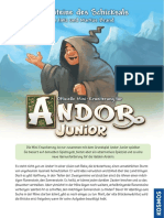 1 ANDOR Junior OS PRINT