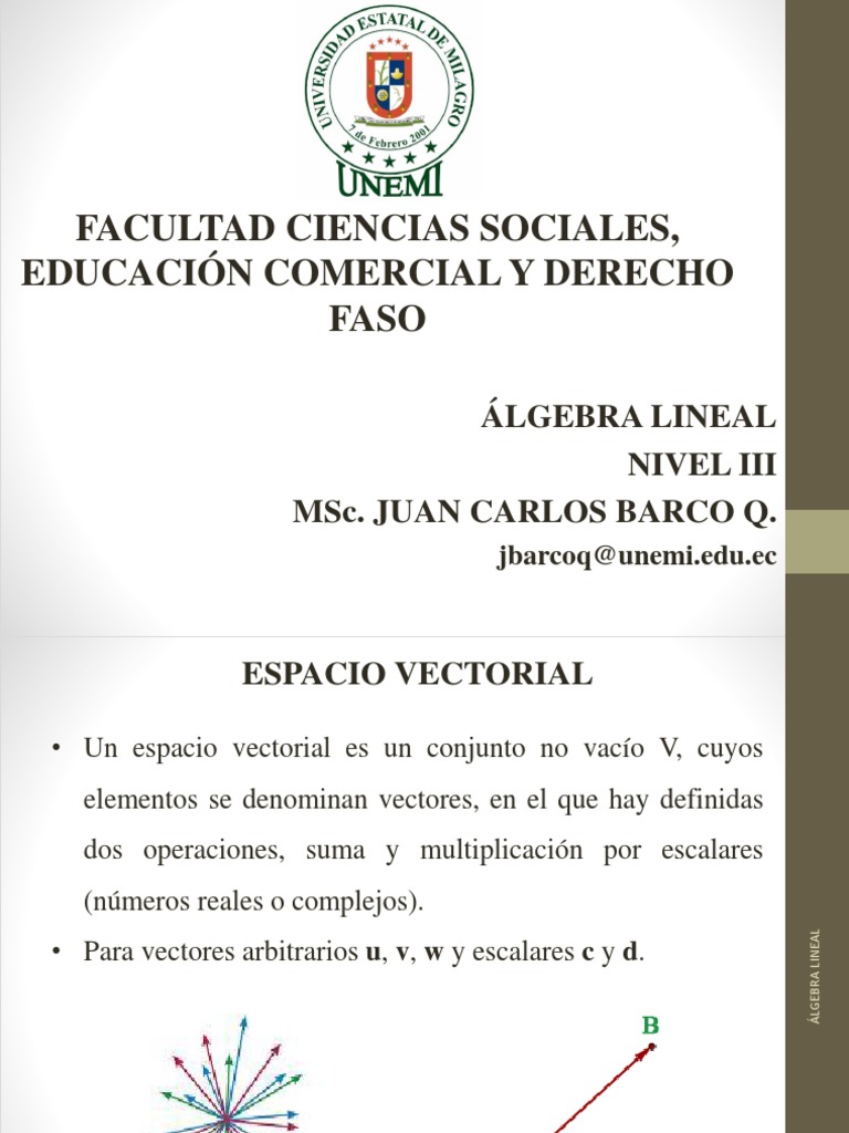 Algebra Espacio Vectorial Pdf Espacio Vectorial Escalar Matemáticas