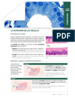 La Nutrición de La Célula y Los Nutrientes