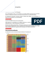 Traducción de mRNA PDF