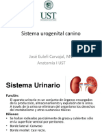 Clase Urogenital UST PDF