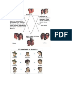 Piramides de Organizacion