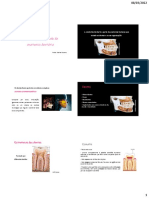 Anatomia dos dentes