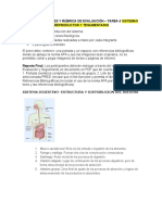 Guía de Actividades y Rúbrica de Evaluación Sistema Digestivo, Urinario, Reproductor y Tegumentario