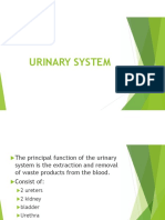 Chapter 2i - Urinary System