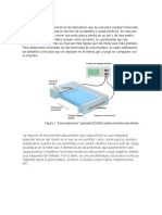 Introducción ADN ELECTROFORESIS