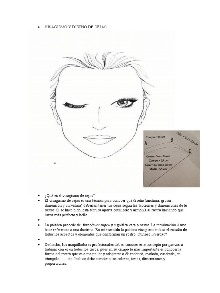 Visagismo y Diseño de Cejas | PDF