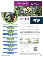 FCC AtlasBlue Promo pg1 ES 092121