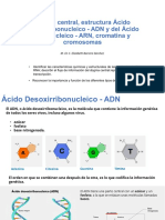 Sesión - 2 Dogma Central de La Biología Molecular PDF