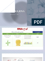 DNA,RNA و البروتين PDF