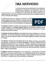 Sistema Nervioso: Continuas, Que Tiene La Capacidad de Responder A Los Estímulos, Tanto Del