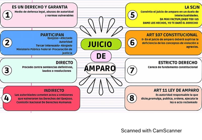 MAPA CONCEPTUAL Juicio de Amparo | PDF