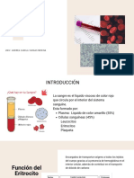 Minimal and Clean Indoor Photoshoot Presentation PDF