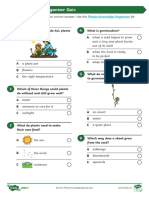 Y2 Plants KO Response Sheet