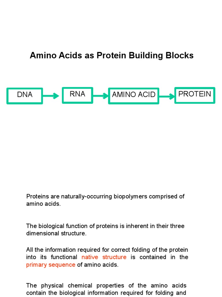 Amino Acids As Protein Building Blocks PDF