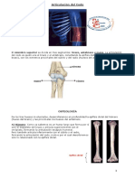 Anatomía - Módulo 7