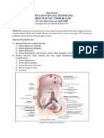 Hernia