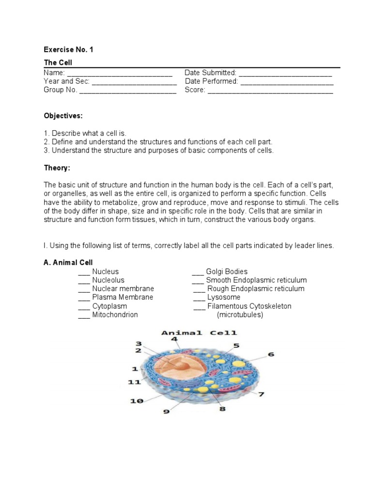Cell Structure and Function Guide | PDF