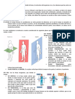 Anatomía humana guía