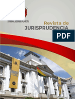 Revista de Jurisprudencia TSJ 2022